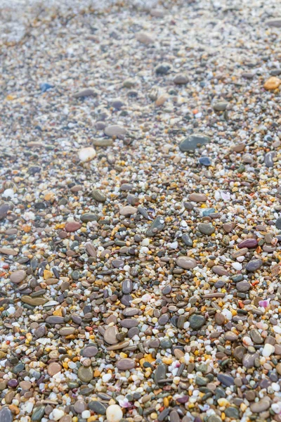 Pierres de mer au bord de la mer en été — Photo