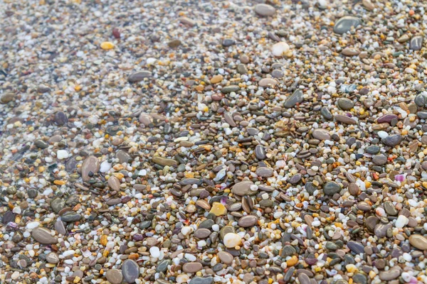 Pierres de mer au bord de la mer en été — Photo