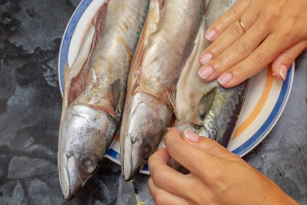 Marowanie surowej makreli rybnej do pieczenia na grillu — Zdjęcie stockowe