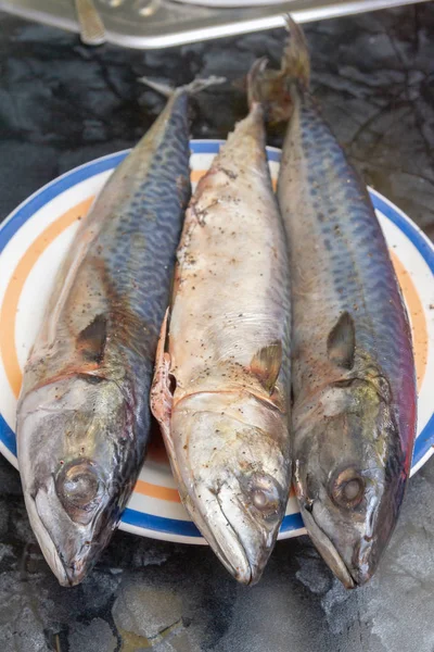 Carapau de peixe cru encontra-se em um prato antes de cozinhar — Fotografia de Stock