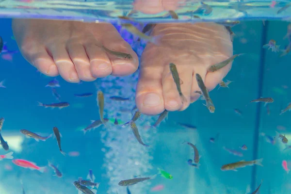 Fisch garra rufa im Aquarium behandelte Füße — Stockfoto