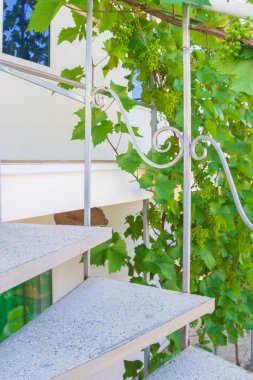 Yaz aylarında özel evde gri spiral merdiven