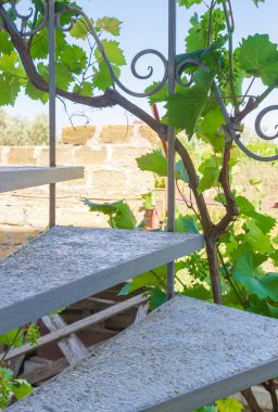 Yaz aylarında özel evde gri spiral merdiven