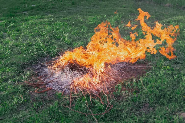 Fire of dry twigs on the green grass — Stock Photo, Image