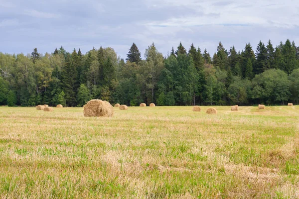 Haystacks são removidos dos campos no verão perto do para — Fotografia de Stock