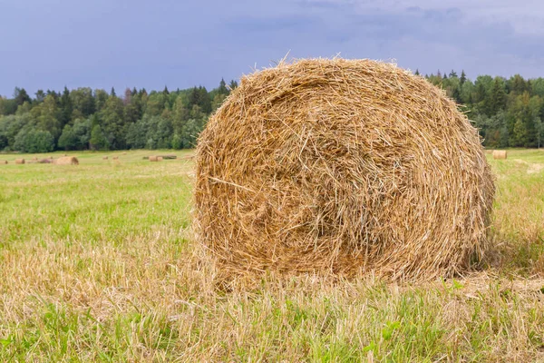 Haystacks sunt îndepărtate de pe câmpuri în vara aproape de — Fotografie, imagine de stoc