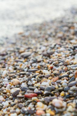 Deniz kıyısı yaz aylarında deniz taşları