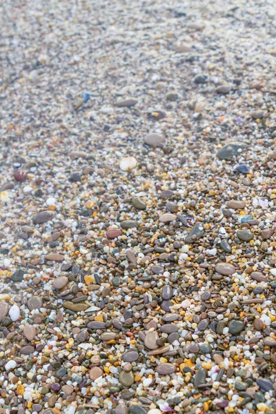 Pierres de mer au bord de la mer en été — Photo