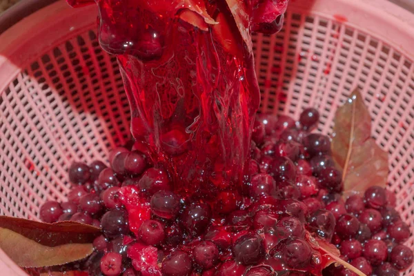 Preparación de jarabe de chokeberry y hoja de cereza — Foto de Stock