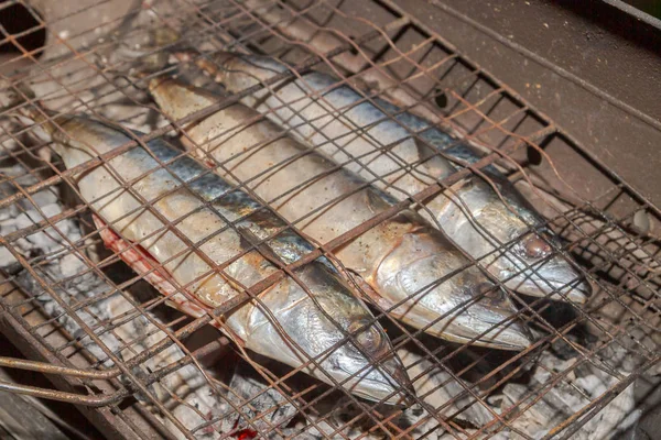 Grelhado fumado peixe cavala dourada fora tarde da noite — Fotografia de Stock