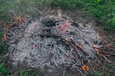 Yeşil çimenler üzerinde kuru dalların ateşi