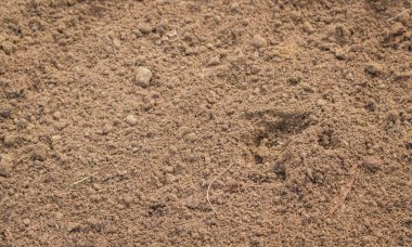 Toprak, yatağın üzerindeki kara toprakla karıştırılır.