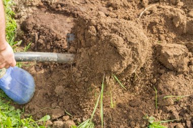 Yazın başında bir adam kürekle toprağı damlatıyor.