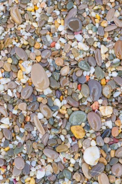 Sea stones on the seashore in the summer — Stock Photo, Image