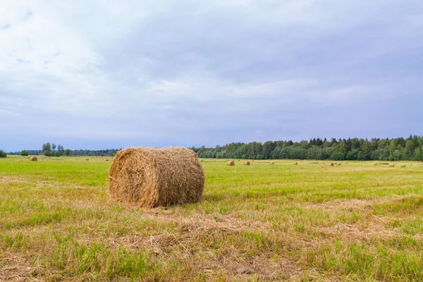 Haystacks são removidos dos campos no verão perto do para — Fotografia de Stock