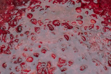 Ezilmiş Kırmızı kızılcık tentür pişirmeden önce alkol ile dolu