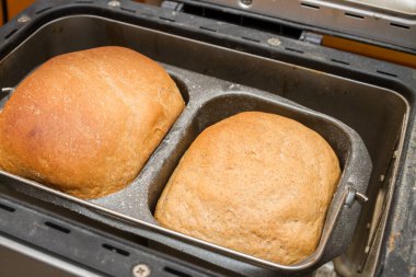 Ev yapımı ekmek bir ekmek makinesinde pişirilir.