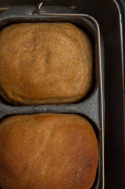 Ev yapımı ekmek bir ekmek makinesinde pişirilir.