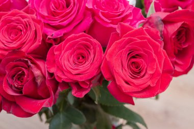 Çok renkli kırmızı, pembe ve beyaz güller.