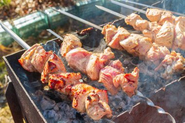 Taze domuz şiş kebap ızgarada şiş kebap yapılır.