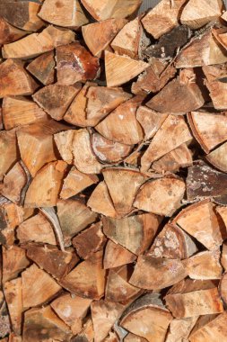 Çivilenmiş huş ağacı Drevenice 'de bir yığın içinde.