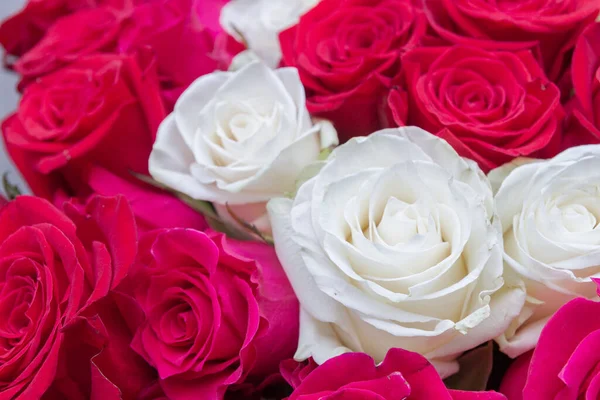 Wielokolorowy Bukiet Czerwonych Różowych Białych Róż — Zdjęcie stockowe