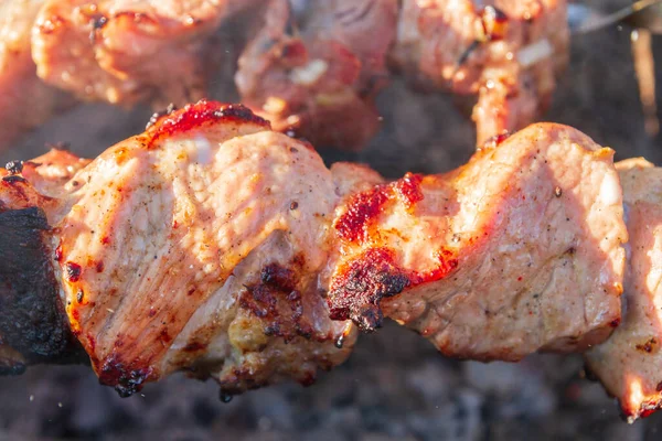 Carne Porco Fresca Shish Kebab Frito Espetos Grelha — Fotografia de Stock