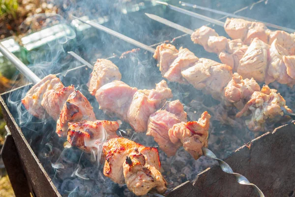 Kebab Porc Frais Est Frit Sur Des Brochettes Sur Gril — Photo