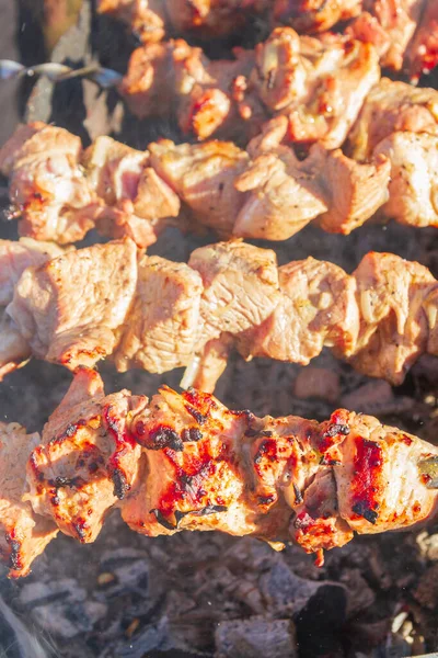 Čerstvé Vepřové Shish Kebab Smaží Špejli Grilu — Stock fotografie