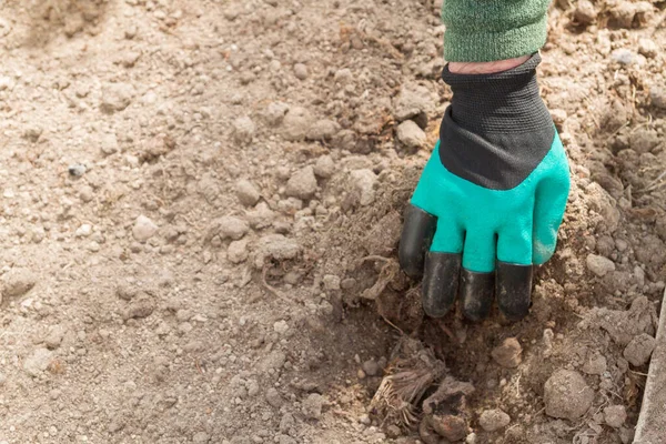 Hombre Desarrolla Tierra Para Plantar Invernadero Con Guante Trabajo — Foto de Stock