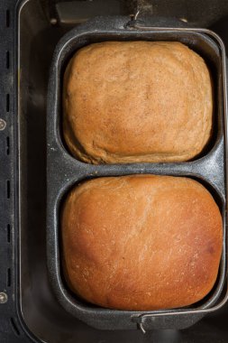 Ev yapımı ekmek bir ekmek makinesinde pişirilir.