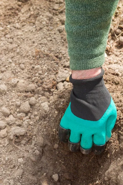 Uomo Sviluppa Terreni Piantare Una Serra Con Guanto Lavoro — Foto Stock