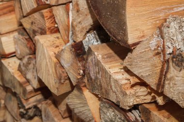 Çivilenmiş huş ağacı Drevenice 'de bir yığın içinde.