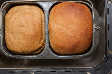 Ev yapımı ekmek bir ekmek makinesinde pişirilir.