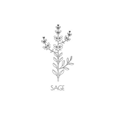 Adaçayı satırı simgesi