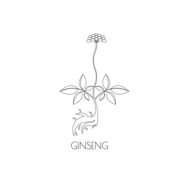Ginseng satırı simgesi