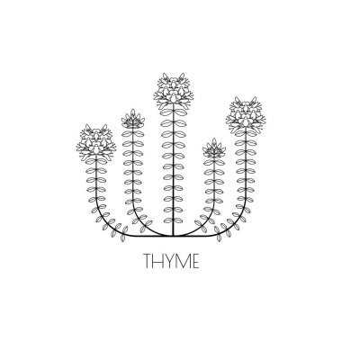 Kekik satırı simgesi