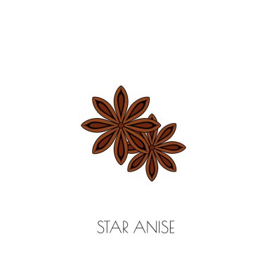 Baharat anasonu simgesi