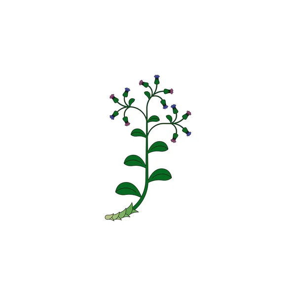 Лікарські трави значок — стоковий вектор
