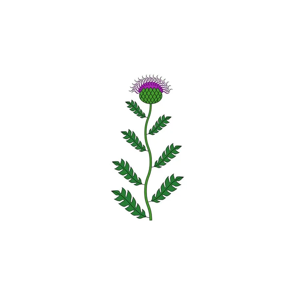 Icône d'herbe médicinale — Image vectorielle