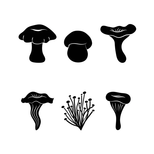 Différents types de champignons — Image vectorielle