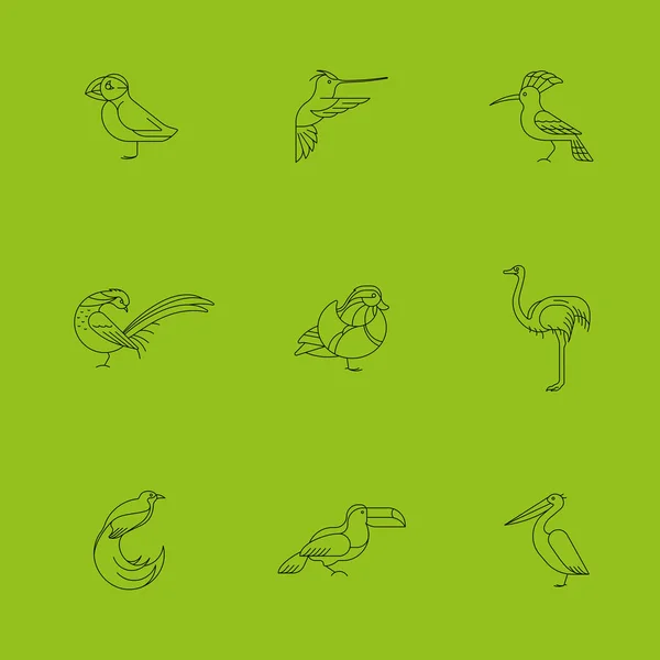鸟集图标 — 图库矢量图片