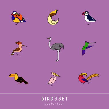 Kuşlar farklı türü bulunmaktadır