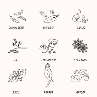 Baharat Seti, kontur simgeler