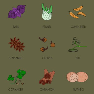 Baharatlar renkli Icons set