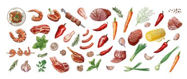 Mangal, piknik elementleri ve etin el çizimi çizimleri. Menünün tasarımı için ızgara yemek. Doodle vintage çizimi. Kabartmalı resim.