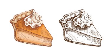 El yapımı kremalı balkabağı turtası dilimi eskizi. Tek renkli ve renkli versiyonlarda sunulan bayramlık şükran günü tatlı illüstrasyonu, sonbahar tasarımı ve mevsimsel dekorasyon için mükemmel..