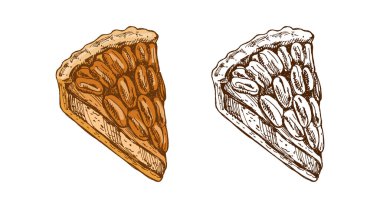 Renkli ve tek renkli cevizli turta dilimlerinin el yapımı klasik çizimi. Menü, ambalaj, kafe tasarımı, tekstil, ambalaj ve şenlikli dekorasyon için tatlı pişirilmiş tatlı çizimi.