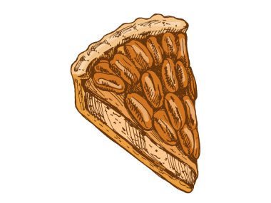 Elle çizilmiş cevizli turta diliminin çıtır çıtır çizimi. Menü, ambalaj, ambalaj kağıdı, kafe dekorasyonu, tekstil baskısı ve tatil tasarımı için tatlı bir tatlı resmi..