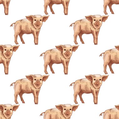 Seamless pattern with hand drawn piglet in vintage rustic style. Perfect for farm designs, countryside projects, textile, packaging and agricultural themes.